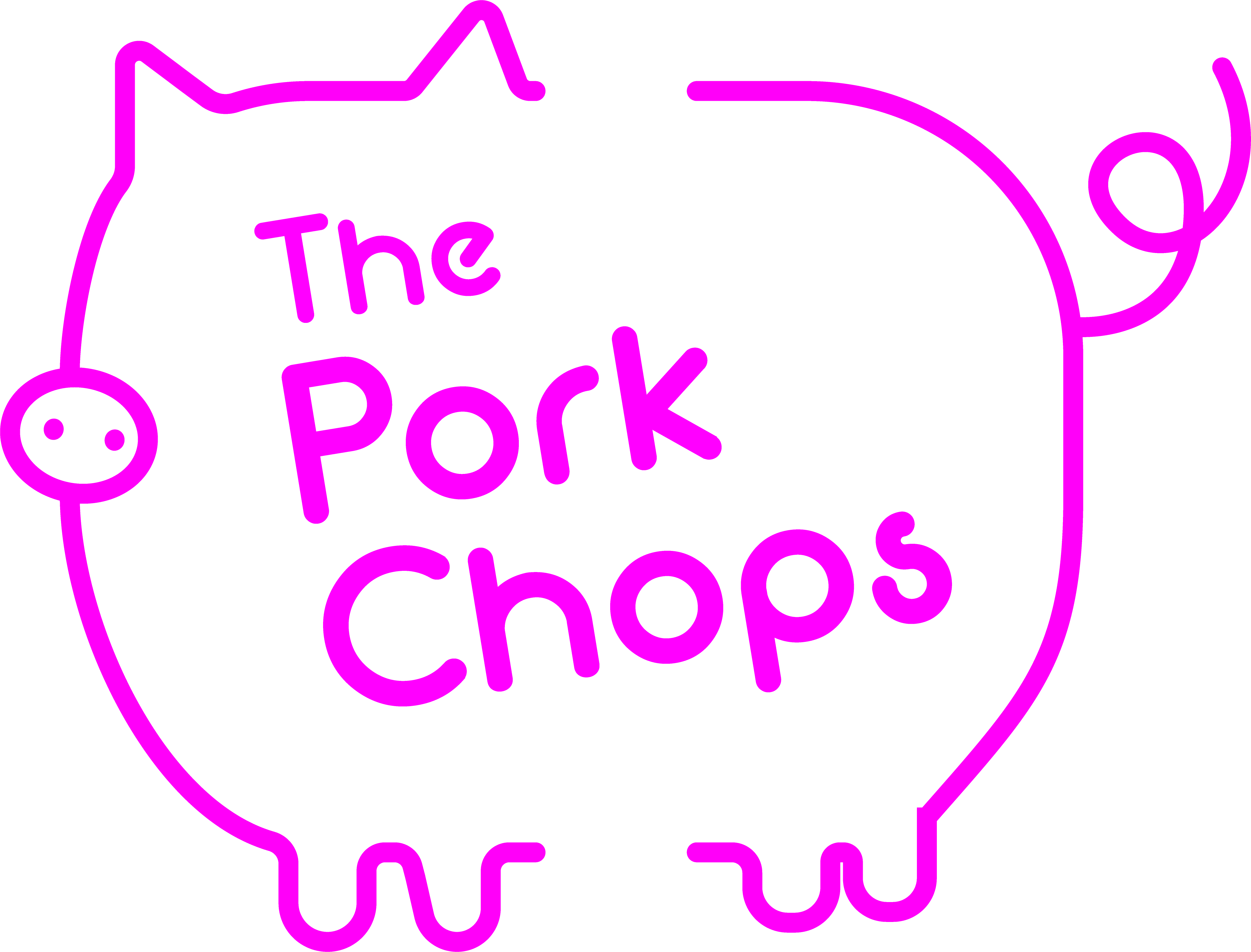 The Porkchops